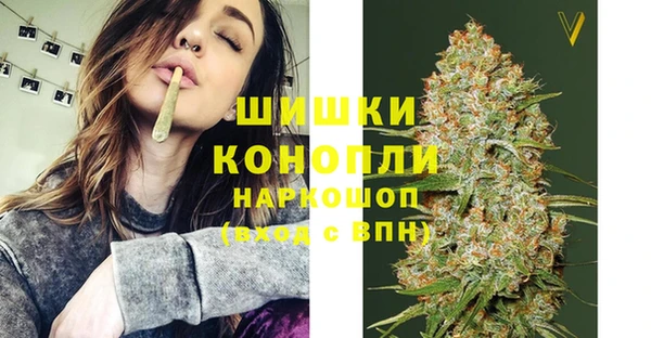 каннабис Белокуриха