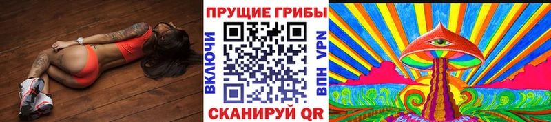 Псилоцибиновые грибы Magic Shrooms где можно купить Курильск